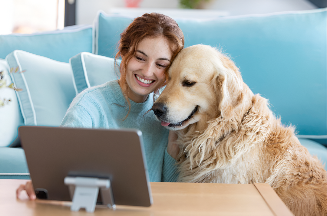Simple Comfort Tips Every Pet Parent Can Start Today